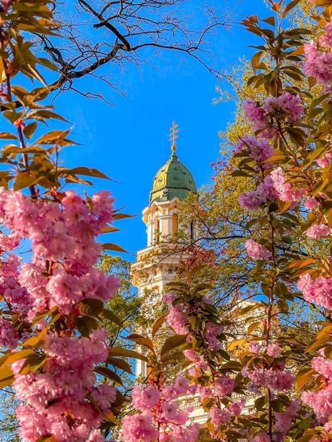 Старовинні Апартаменти У Центрі Міста Uzjhorod Exteriör bild